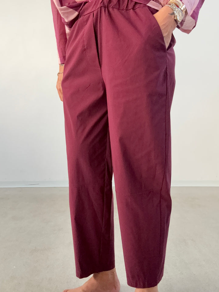 PANTA TECNA VINO