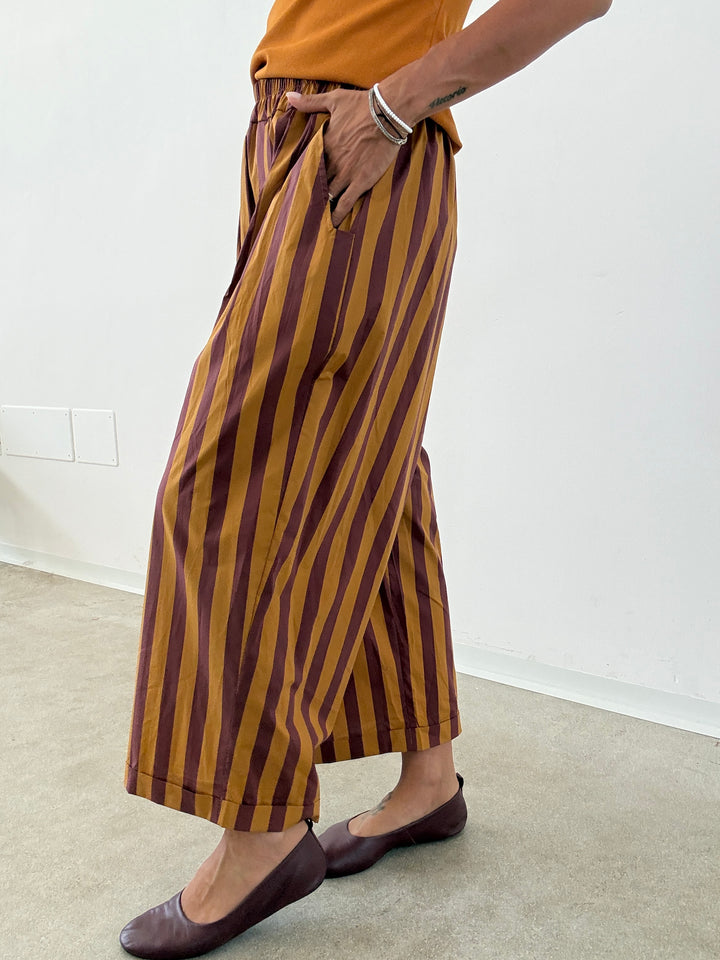 PANTALONE OLIMPIA RIGA OCRA/VINO